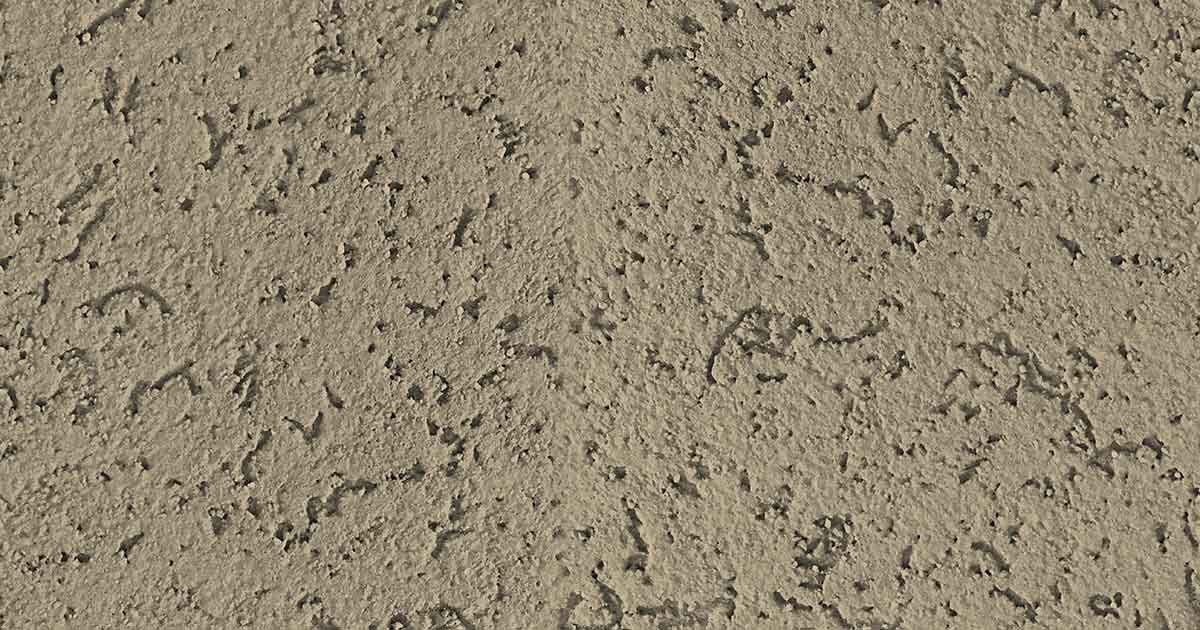 Textura de revestimiento Quimtex Romano Grueso. Hay 720 colores para elegir!