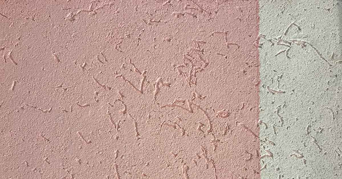 Resultado de la aplicación de Quimtex Revive. Hay 720 colores para elegir!